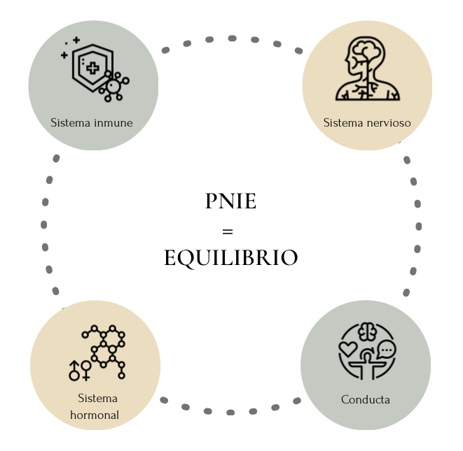 EE7F05AE-8603-4CA0-A60E-80155077FF8A EE7F05AE-8603-4CA0-A60E-80155077FF8A